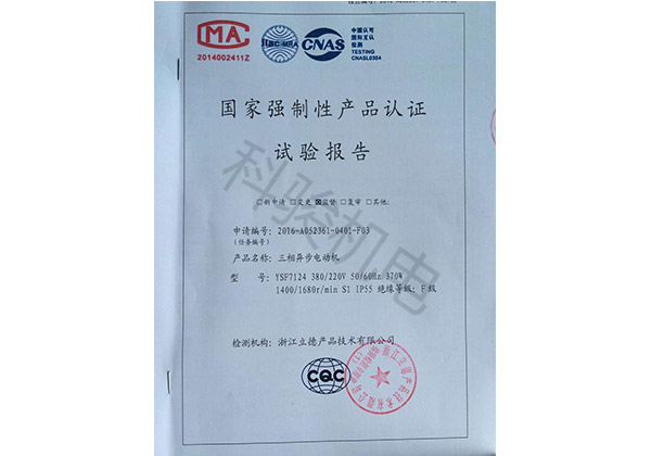 國家強制性認證試驗報告：三相異步電動(dòng)機