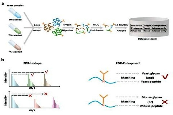 室內(nèi)環(huán)境監(jiān)測中實驗質(zhì)控技術(shù)的運用！