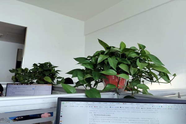 濟南市生態(tài)環(huán)境局市中分局多措并舉落實環(huán)境監(jiān)測管理辦法！