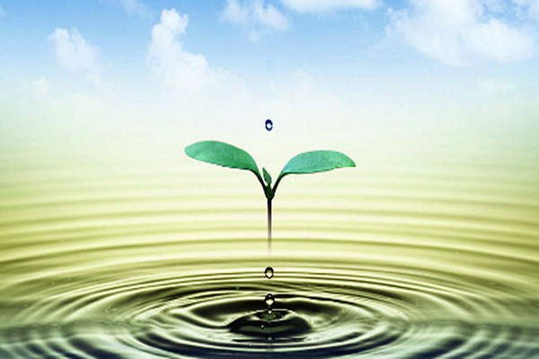 環(huán)境監(jiān)測公司如何吸引客戶與自己合作呢？