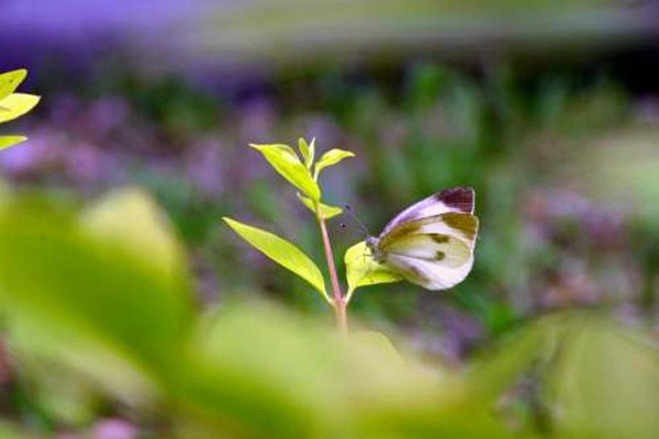 環(huán)境監(jiān)測(cè)公司如何打出聲勢(shì)，塑造品牌？