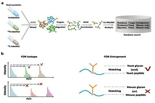 室內(nèi)環(huán)境監(jiān)測中實驗質(zhì)控技術(shù)的運用！