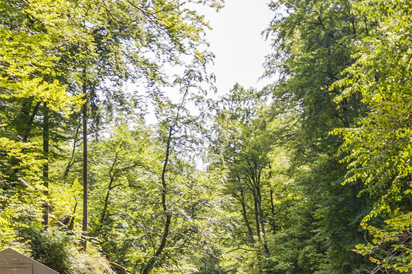 環(huán)境監(jiān)測